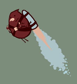 RocketBird