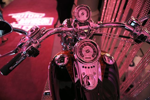 Harley-Davidson's Precious Metal Gala - May 11, 2010