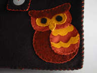 Owl Detail