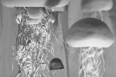 coe&waito jellyfish installation