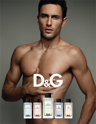 D&G Anthology L`Amoureaux 6 Fragrance