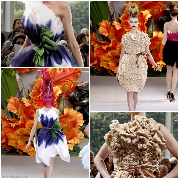 Dior Couture Takes A Trip Through The Garden For Fall 2010