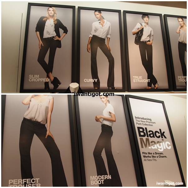 Gap Premium Pant Collection Fall 2010